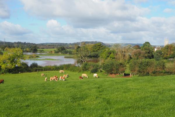 Fields and views of the River Clyst