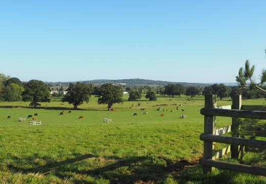 Poltimore Park County Wildlife Site